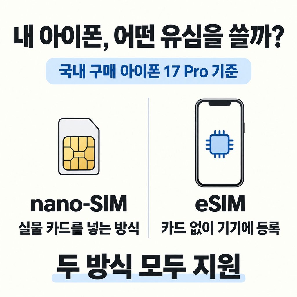 먼저 유심 종류와 새 아이폰의 구매 지역을 확인한다