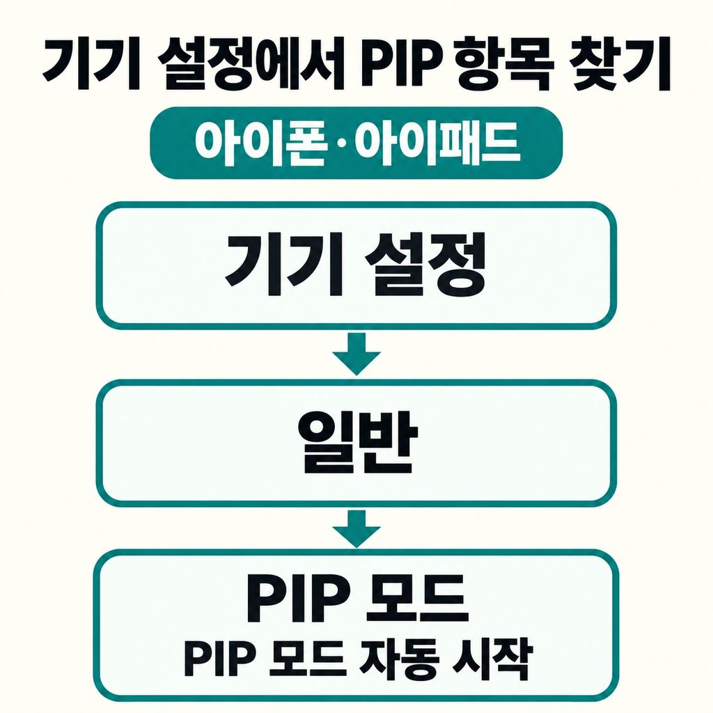 휴대폰 설정의 PIP 항목은 어디에 있을까